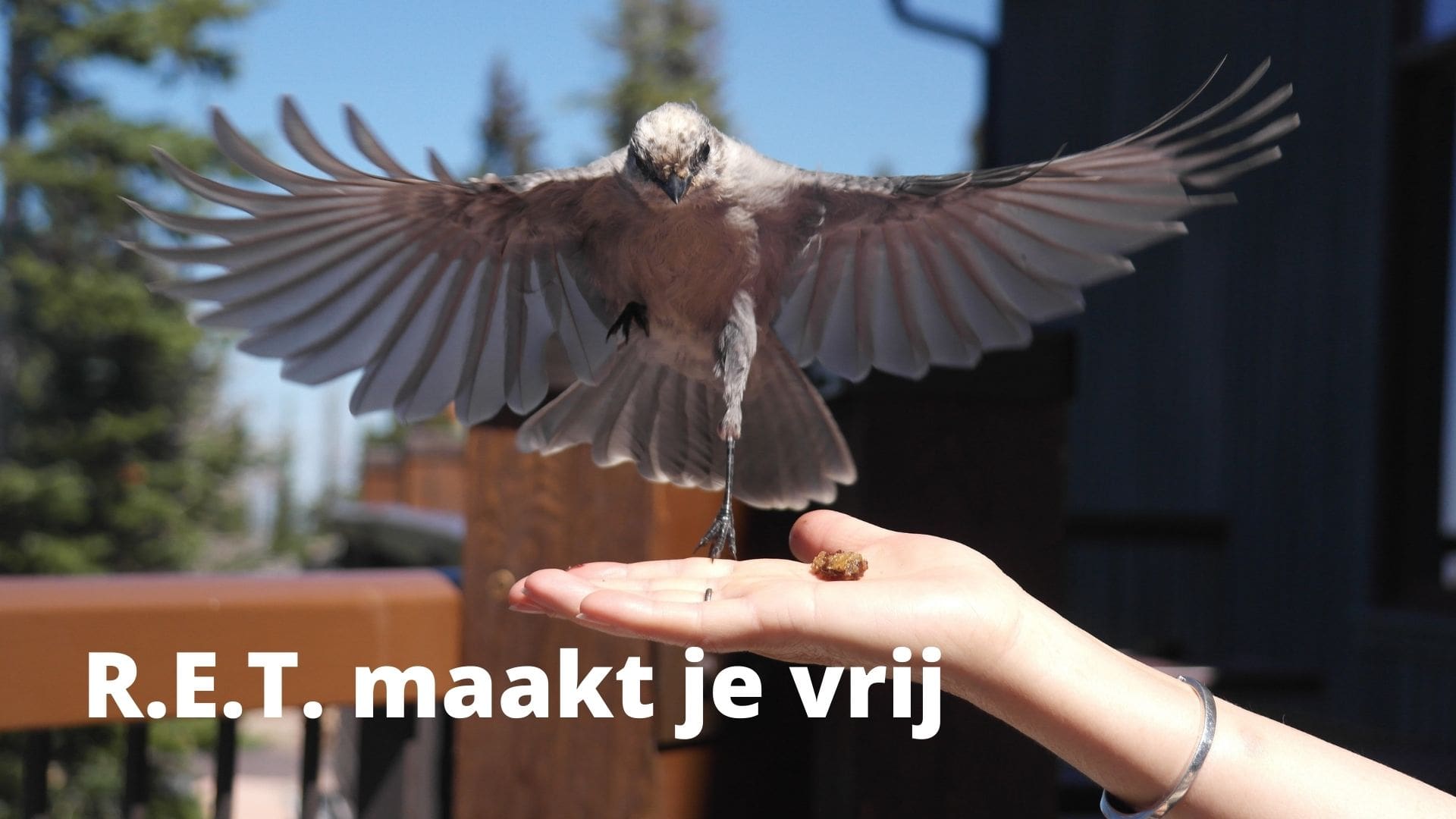 R.E.T. maakt je vrij-min